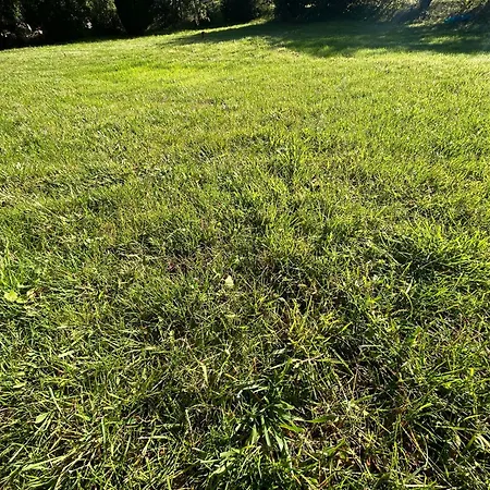 Apartmán Tante Else Auszeit Auf Dem Lande Naehe Unesco Welterbe Inklusive Fahrraeder