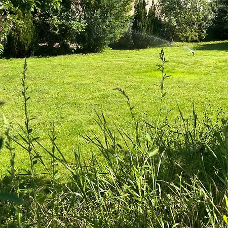 Tante Else - Laendliche Auszeit Am Mueritz Nationalpark Inklusive Fahrraeder *