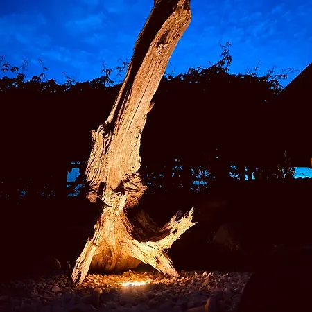 Apartmán Tante Else Auszeit Auf Dem Lande Naehe Unesco Welterbe Inklusive Fahrraeder