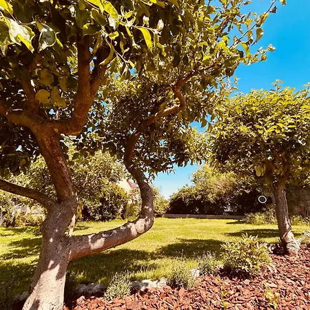 Daire Tante Else Auszeit Auf Dem Lande Naehe Unesco Welterbe Inklusive Fahrraeder *