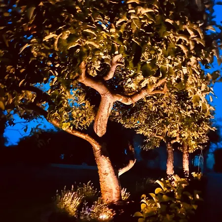 Tante Else Auszeit Auf Dem Lande Naehe Unesco Welterbe Inklusive Fahrraeder Apartmán Carpin