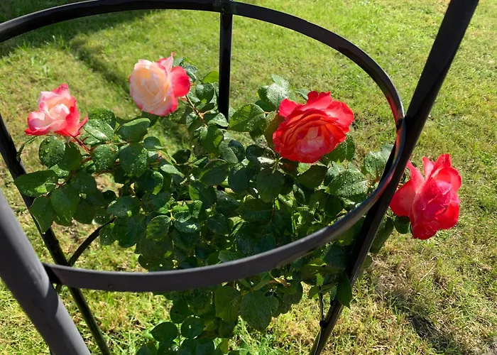 شقة Tante Else Auszeit Auf Dem Lande Naehe Unesco Welterbe Inklusive Fahrraeder Carpin