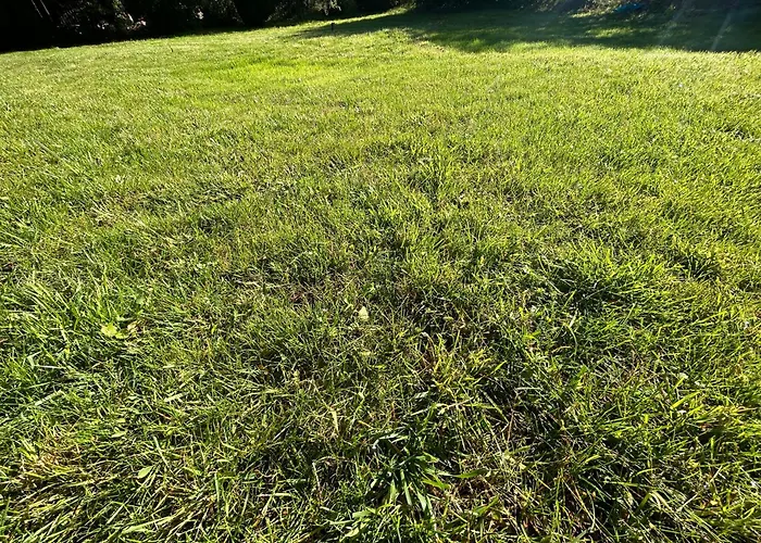 Apartman Tante Else Auszeit Auf Dem Lande Naehe Unesco Welterbe Inklusive Fahrraeder