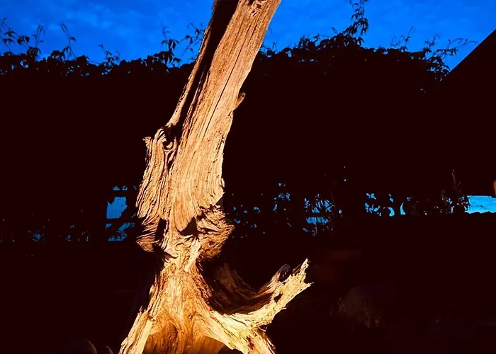 شقة Tante Else Auszeit Auf Dem Lande Naehe Unesco Welterbe Inklusive Fahrraeder