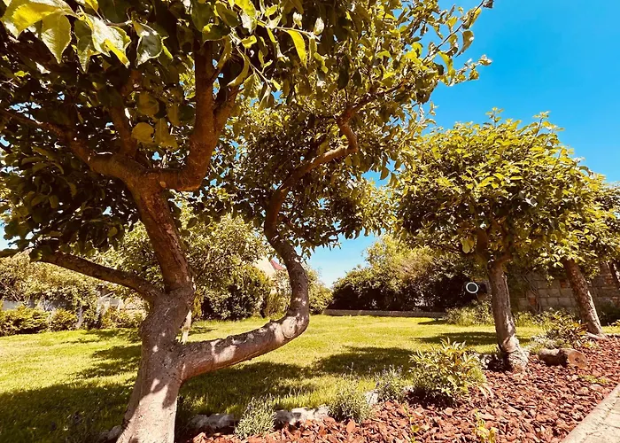 شقة Tante Else Auszeit Auf Dem Lande Naehe Unesco Welterbe Inklusive Fahrraeder *