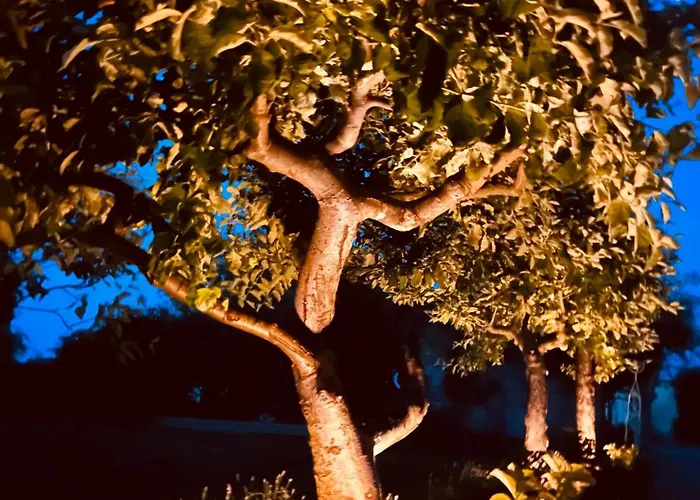 Tante Else Auszeit Auf Dem Lande Naehe Unesco Welterbe Inklusive Fahrraeder شقة Carpin